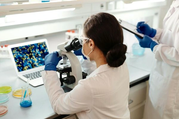 laboratory teams conducting experimental design and treatment