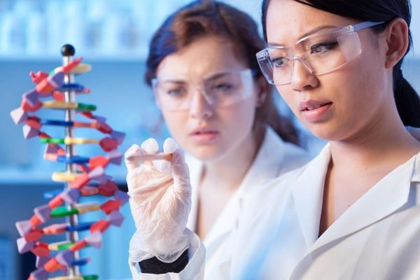 GHK-Cu laboratory teams analyzing gene expression